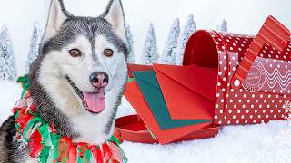 My Dogs Send YOU a Christmas Card 🎄 Husky Holiday Card Exchange 2023