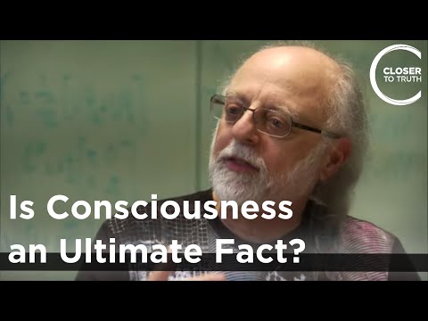 Fred Alan Wolf - Is Consciousness an Ultimate Fact?