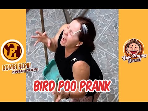 kombi-heppiii-bird-poo-prank-1