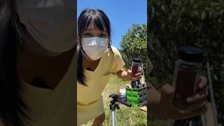 デニム #shorts #short #shortsfeed #youtubeshorts