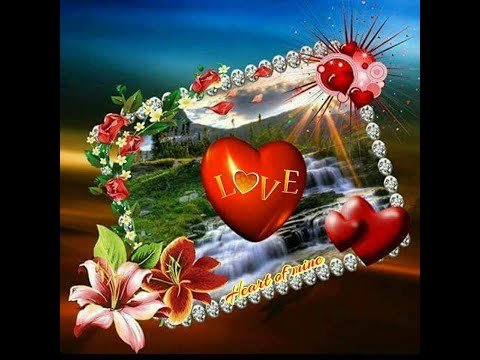 Die Nacht der tausend Rosen****Frans Bauer***