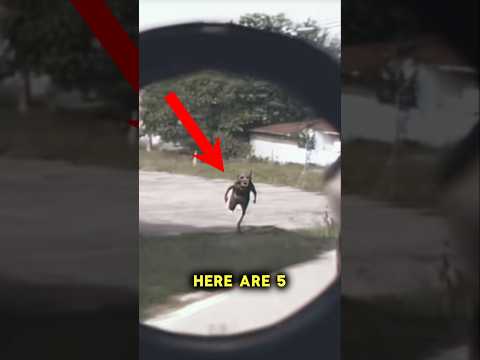 Scariest Videos Of The Year😳