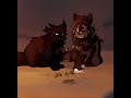 LEAFPOOL || Warrior Cats edit || #Leafpool #Crowfeather #Hollyleaf #warriorcats  #edits #fyp