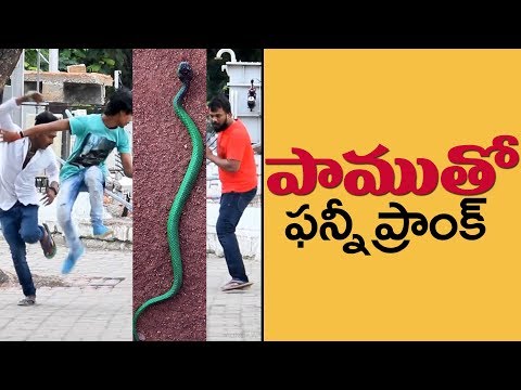 Epic Snake Prank | Pranks in Telugu | Pranks in Hyderabad 2018 | FunPataka Video