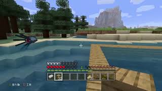 のんびりマイクラ