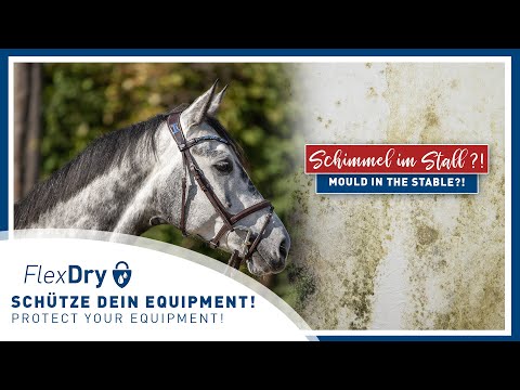 Schimmel im Stall? - Schütze dein Equipment mit dem FlexDry