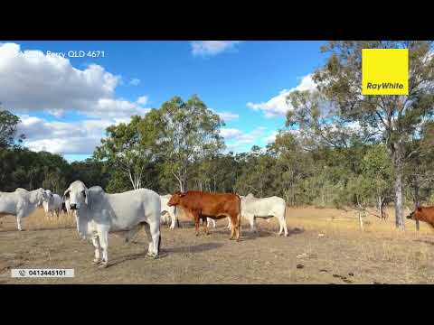 Address Withheld, Mount Perry, QLD 4671, 0 Bedrooms, 0 Bathrooms, Section