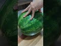 CORTANDO MELANCIA Melancia Frutas Alimentacaosaudavel