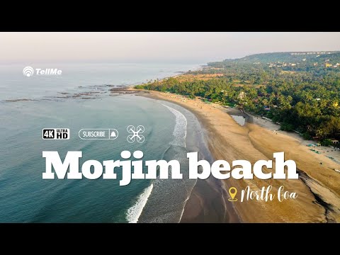 Exploring Goa's beautiful Morjim beach I Goa