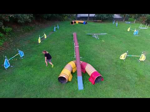 Online class - Advanced Agility Games