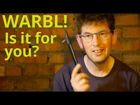 WARBL electronic penny whistle MIDI controller - is it for you?
