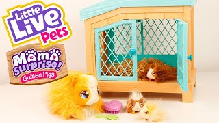 LITTLE LIVE PETS Mama Surprise La Famille Cochon d'Inde Guinea Pig