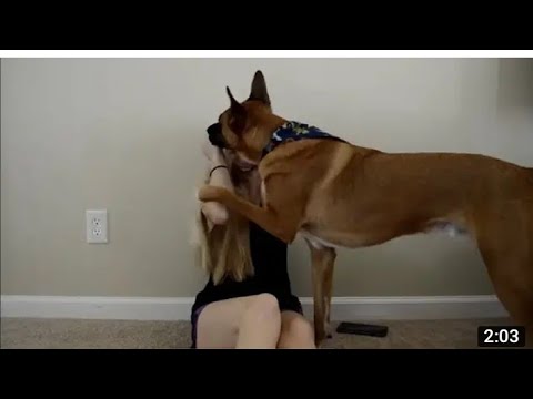 WHAT AN ANXIETY ATTACK LOOKS LIKE WITH A SERVICE DOG