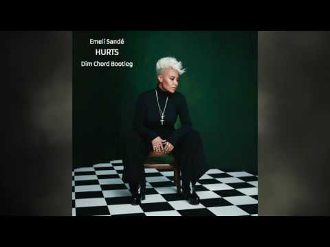 Emeli Sande - Hurts (Dim Chord Bootleg)