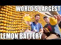 World's Largest Lemon Battery