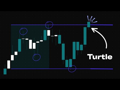 The Turtle Trading Strategy Revealed: How To Trade In 2026