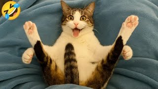 Hilarious Funny Animals Compilation 🐶🐱 | Cute & Funny Animal Videos 2025