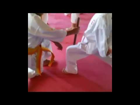 Dimitrova Dojo - Entrenamiento de posiciones