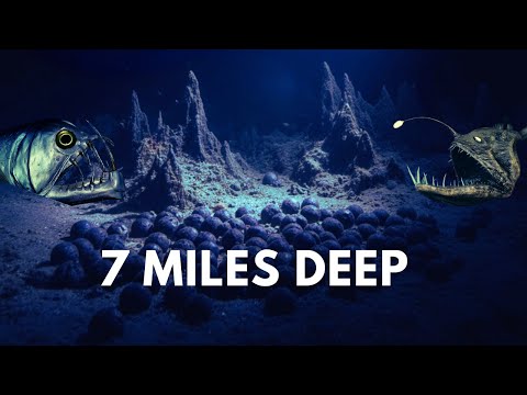 Mariana Trench: What They Found in the Deepest Place on Earth