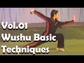 Beijing Wushu Team Vol 01 Wushu Basic Techniques