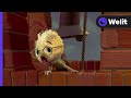 El Cielo Se Cae Chicken Little 2005 Welit