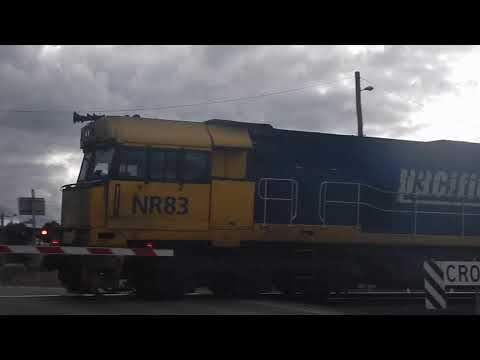 NR83, AN2 & NR115 Pacific National Freight Train @ Wallan!