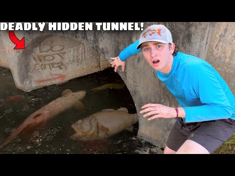 I Saved Fish From a DEADLY Hidden Tunnel!