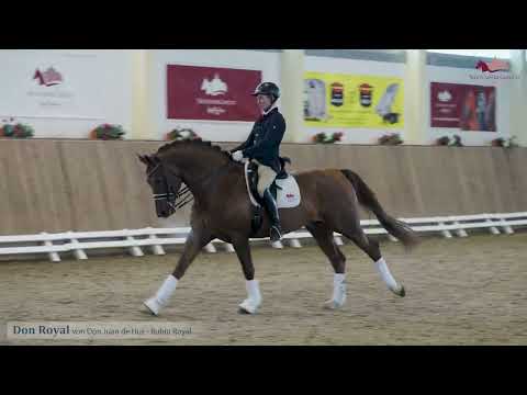 Don Royal v. Don Juan de Hus x Rubin Royal