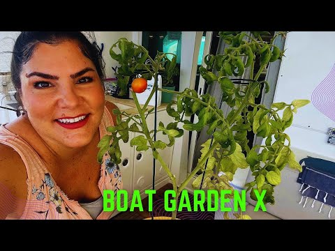 Final Boat Garden Video X Ep.153