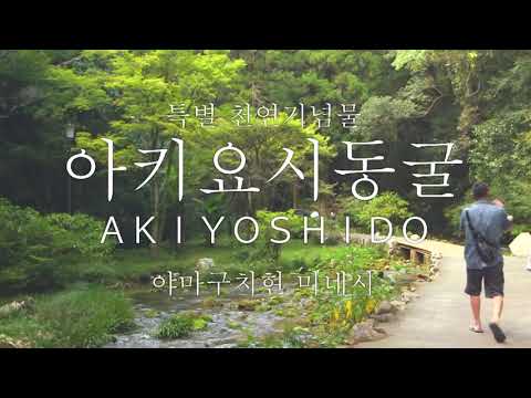 아키요시도（秋芳洞）관광 소재