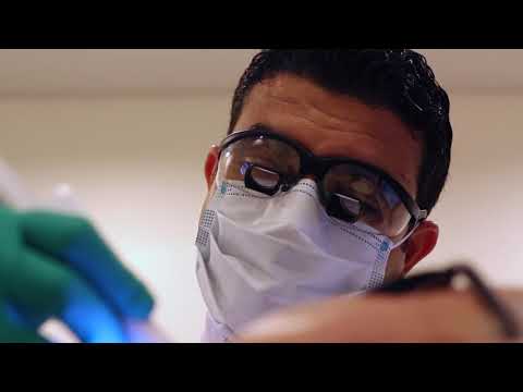 What is a Root Canal? | Newton Smile Centre