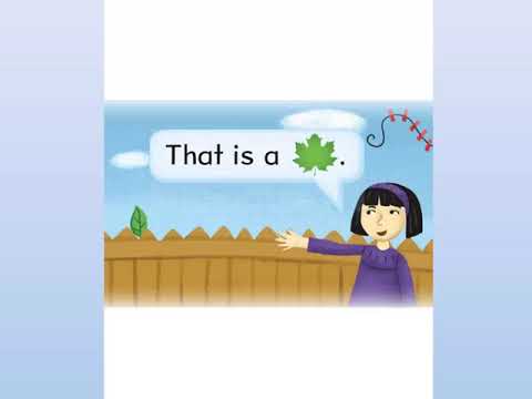 Oxford Phonics World 1-Story Unit 4