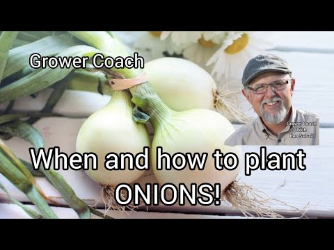 , title : 'When and how to plant Onions'