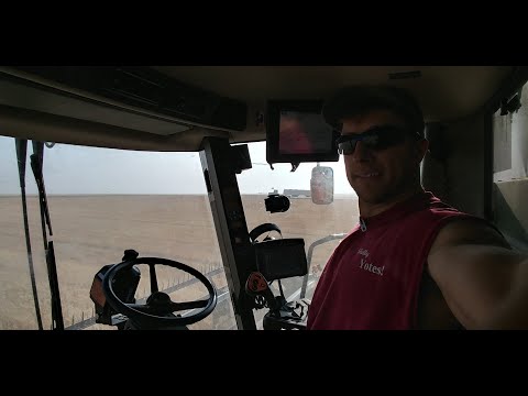 🔴Live! Harvest 2018 Part 4 - Welker Farms Inc