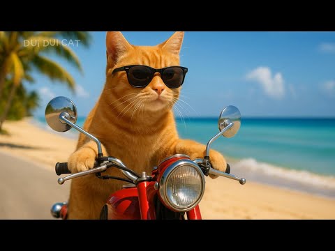Cool Orange Cat’s Epic Beach Day Adventure 🌊 #cat #funnycats #funny #cute