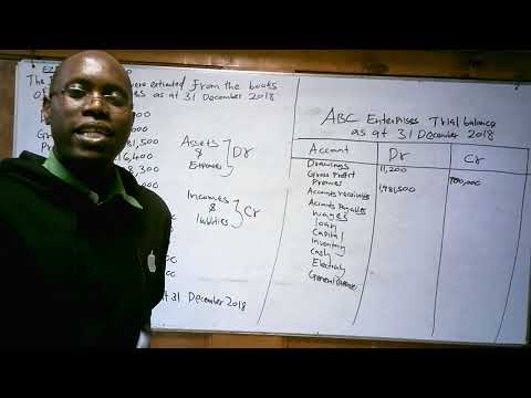  TRIAL BALANCE REVISION