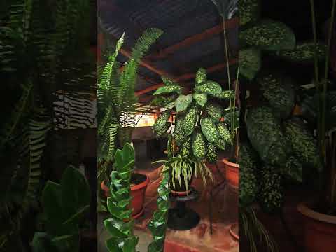 Mozonte Nueva Segovia turístico