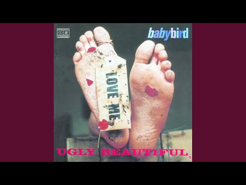 Dead Bird Sings video thumbnail