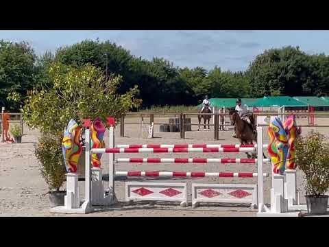Kontiki von ter Dieschoot ( Numéro Uno x Nabab de Rêve ) - Pro 2 135 Bonneval 6 ème