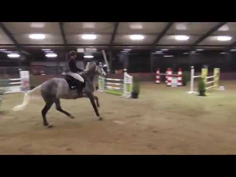 Luimstra's Ginea (Cardento x French Buffet) 1.20m