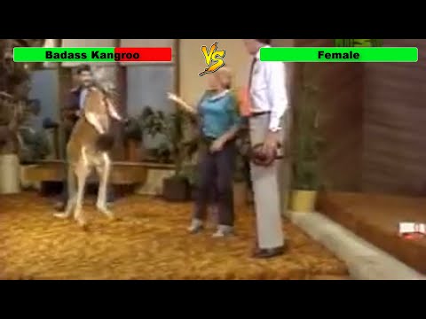 Street fighter - Kangaroo Edition (Funny Video)