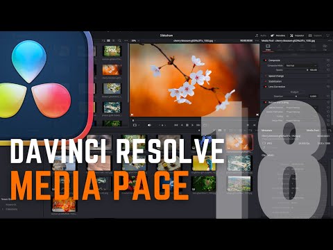 Die Media Page ist GENIAL! - DaVinci Resolve 18.5 [EP4]