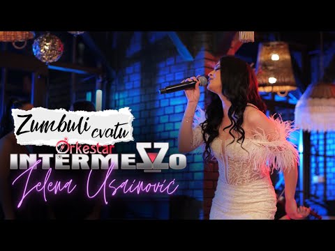 ORKESTAR INTERMEZZO - ZUMBULI CVATU (COVER 2024)