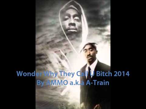 Wonder Why They Call U Bitch 2014 [By AMMO a.k.a.  A-Train]