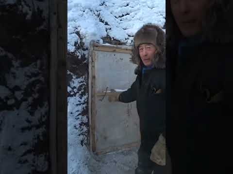 Оймякон как живёт скотина на Полюс холода -71. Рекордные температуры