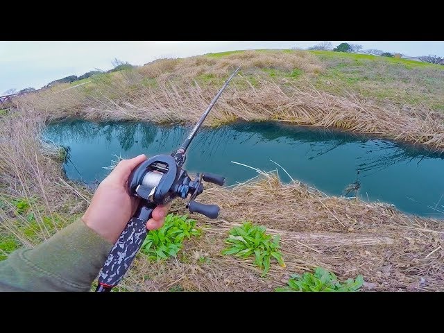 Fishing Mini Creeks in Urban Dallas (Fishing With Subscribers)