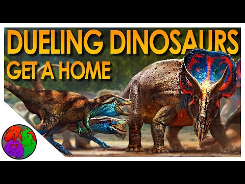 Montana's Dueling Dinosaurs Get a Home | Triceratops vs. Nanotyrannus
