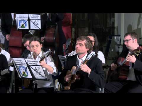 TO KUD-a "Gaj" - Varijacije za TO