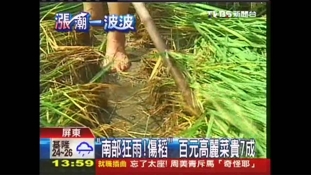 「南部狂雨!傷稻」 百元高麗菜貴7成