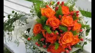 Everytime  - Human Nature ( gaconcuaem musvn  )